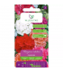 L - PELARGONIA RABAT. F2 MIESZANKA 0,05 /3/