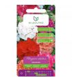 L - PELARGONIA RABAT. F2 MIESZANKA 0,05 /3/