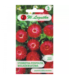 L - STOKROTKA POSPOLITA GRACJA CZERWONE 0,1g /2/
