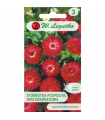 L - STOKROTKA POSPOLITA GRACJA CZERWONE 0,1g /2/