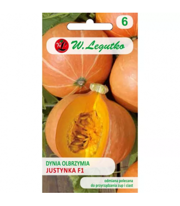 LW - OTOCZKA OGÓREK ŚREMSKI F1 50szt. /3/