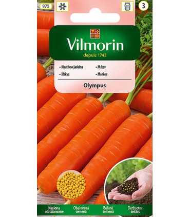 V - (O) MARCHEW OLYMPUS 400z /3/