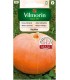 V - DYNIA OLBRZYMIA BIG MAX 3g /2/
