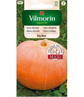 V - DYNIA OLBRZYMIA BIG MAX 3g /2/