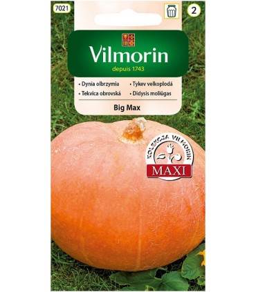 V - DYNIA OLBRZYMIA BIG MAX 3g /2/