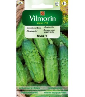 V - OGÓREK JOWISZ 3g /3,5/