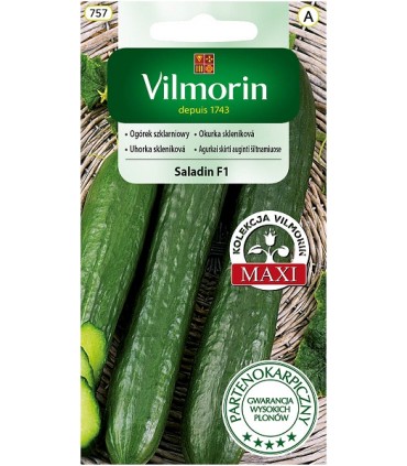 V - OGÓREK SZKL. SALADIN F1 0,8G (A)