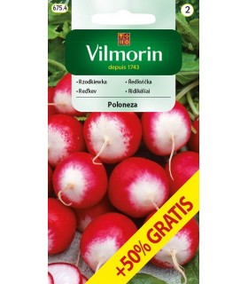V - RZODKIEWKA POLONEZA 7,5gr. /2/