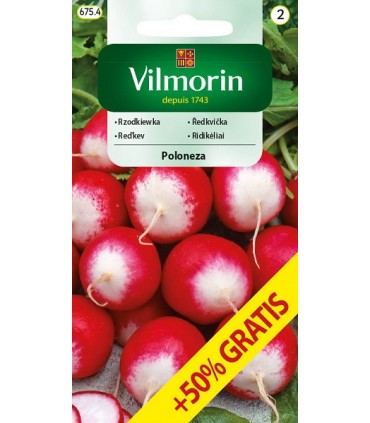 V - RZODKIEWKA POLONEZA 7,5gr. /2/