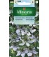 VCZ CZARNUSZKA SIEWNA 1g /1/