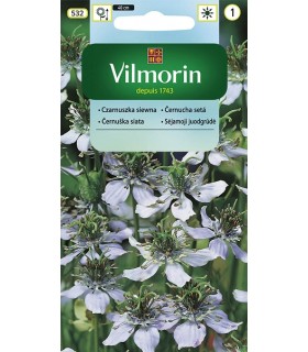 VCZ CZARNUSZKA SIEWNA 1g /1/
