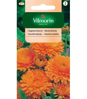 VCZ NAGIETEK LEKARSKI 1g (2)