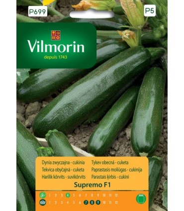 VP - DYNIA ZW. CUKINIA SUPREMO F1 8z /P5/
