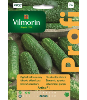 VPP - OGÓREK ARTIST F1 10z /P6/