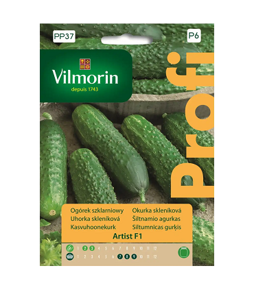 VPP - OGÓREK ARTIST F1 10z /P6/