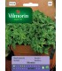 VPZ BAZYLIA GRECKA NISKA MINETTE 2g /P4/