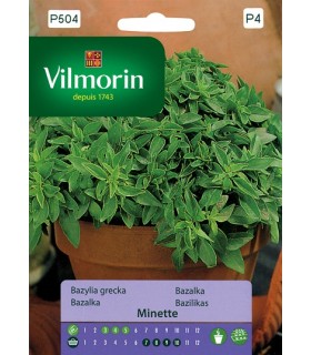 VPZ BAZYLIA GRECKA NISKA MINETTE 2g /P4/