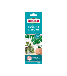 SUBSTRAL S&S pałeczki do roślin zielonych 30szt.