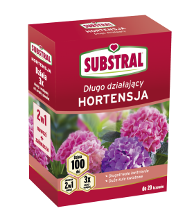 SUB - 100 DNI DO HORTENSJI 1kg