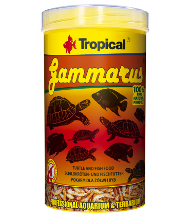 TROPICAL TERRARIUM GRAMMARUS 500ml/60g