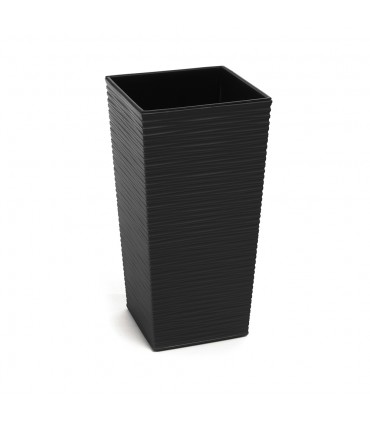 DONICZKA FINEZJA 250x250 DŁUTO - CZARNY