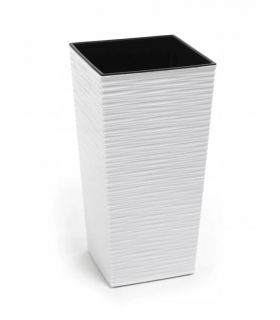 DONICZKA FINEZJA 300x300 DŁUTO - BIAŁY