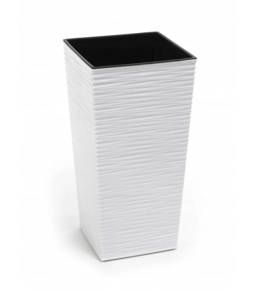 DONICZKA FINEZJA 300x300 DŁUTO - BIAŁY