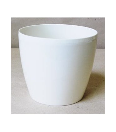 DONICZKA MAGNOLIA 135 - BIAŁA PERŁA