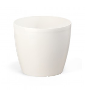 DONICZKA MAGNOLIA 155 - KREMOWY