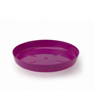 PODSTAWKA NR 6 (FI 234) - FUKSJA