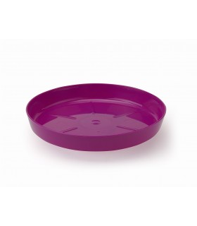 PODSTAWKA NR 8 (FI 337) - FUKSJA 