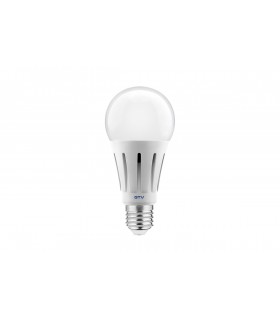 ŻRÓDŁO ŚWIATŁA LED, A60, E27, 20W