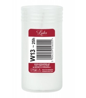 WKŁAD DO ZNICZY W13