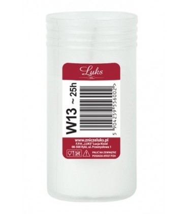 WKŁAD DO ZNICZY W13