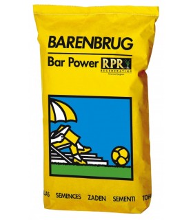 BARENBRUG PLAY & SPORT TRAWA worek 15kg