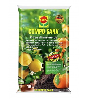 C - PODŁOŻE SANA DO CYTRUSÓW 10L