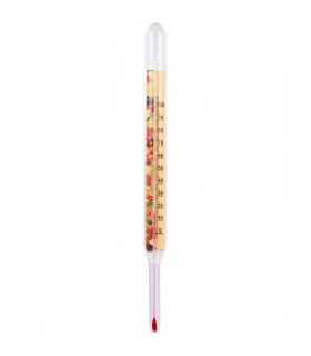 BIN TERMOMETR DO PRZETWORÓW 0-100C, 22cm