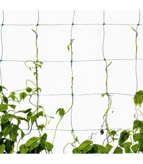 BIN O - SIATKA DO PNĄCZY 2x3m