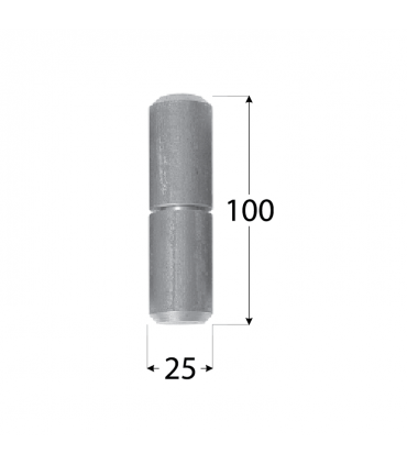 DMX ZTK 25 ZAWIAS TOCZONY 25x100mm