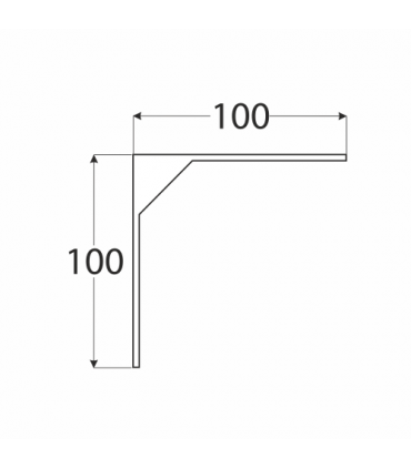 WSM 100 Wspornik ZNG 100x100