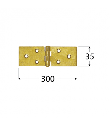 Z 300/35 Zawias 300x35x2,5