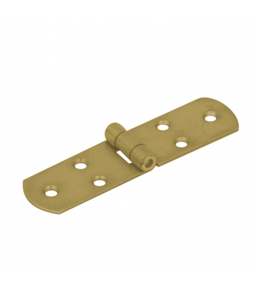 ZF 120 Zawias 120x35x2,5