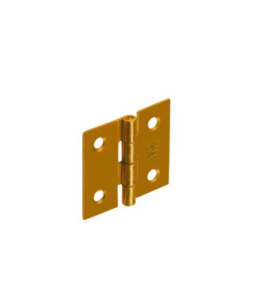 ZS 30 Zawias 30x29x1,0 /10szt. worek