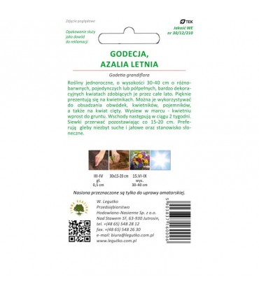 L - GODECJA, AZALIA LETNIA MIX 1G /1/