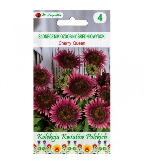 L - KWIATY POLSKIE SŁONECZNIK CHERRY QUEEN 1g /2/