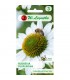 L - RUDBEKIA PURPUROWA JEŻÓWKA BIAŁA 0,5g /2/