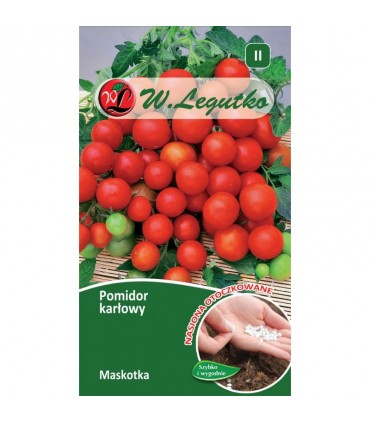 LW - (O) POMIDOR MASKOTKA 100N / II /