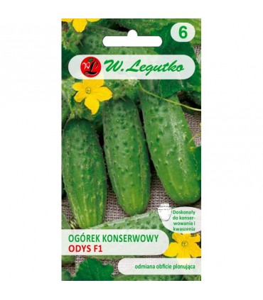 LW - OGÓREK KONS. ODYS F1 4g /3/