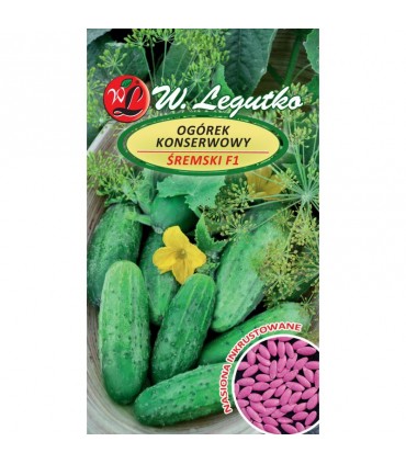 LWZ OGÓREK ŚREMSKI F1 3g zapr. /6/