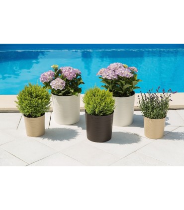 DONICA MALWA 190 dłuto - CZARNY